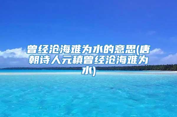 曾经沧海难为水的意思(唐朝诗人元稹曾经沧海难为水)