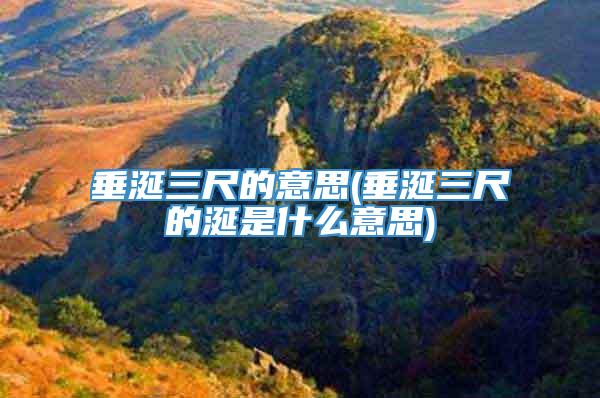 垂涎三尺的意思(垂涎三尺的涎是什么意思)