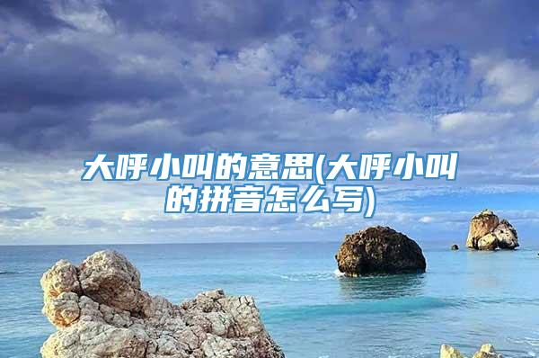 大呼小叫的意思(大呼小叫的拼音怎么写)