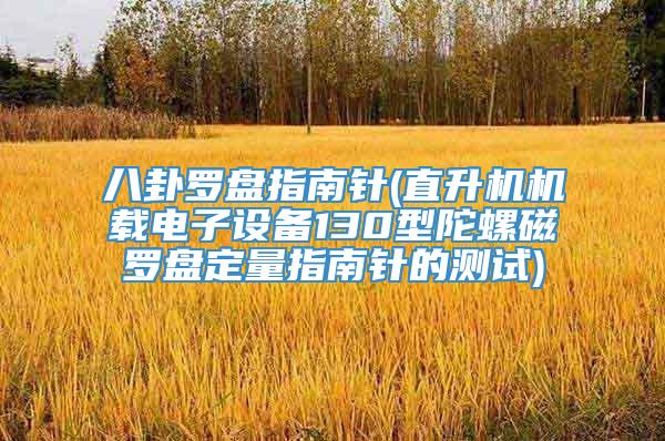 八卦罗盘指南针(直升机机载电子设备130型陀螺磁罗盘定量指南针的测试)