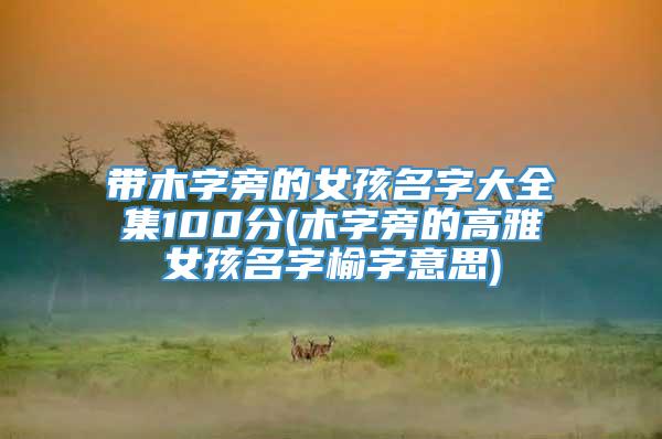 带木字旁的女孩名字大全集100分(木字旁的高雅女孩名字榆字意思)