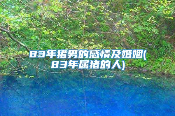 83年猪男的感情及婚姻(83年属猪的人)