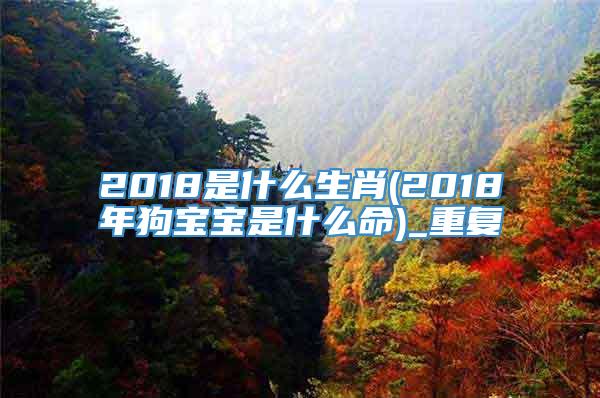 2018是什么生肖(2018年狗宝宝是什么命)_重复