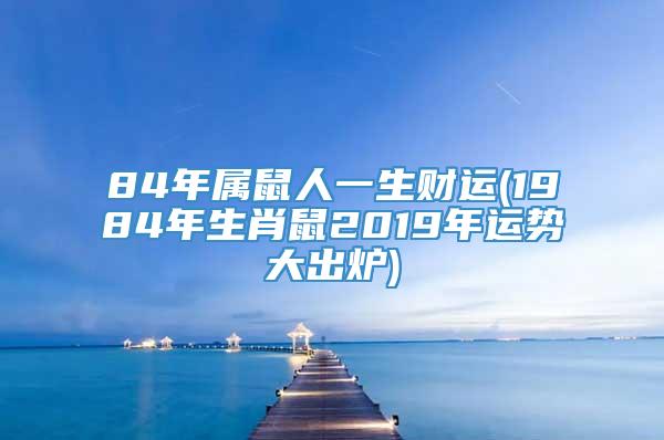 84年属鼠人一生财运(1984年生肖鼠2019年运势大出炉)