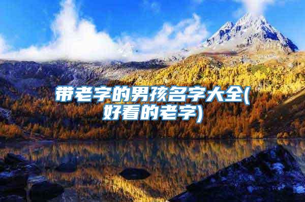 带老字的男孩名字大全(好看的老字)