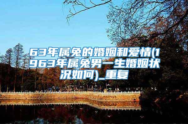 63年属兔的婚姻和爱情(1963年属兔男一生婚姻状况如何)_重复
