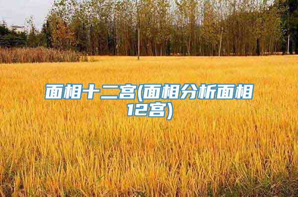 面相十二宫(面相分析面相12宫)