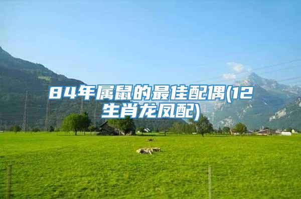 84年属鼠的最佳配偶(12生肖龙凤配)
