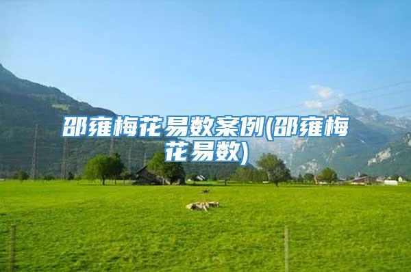 邵雍梅花易数案例(邵雍梅花易数)