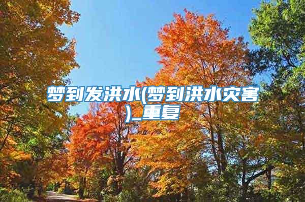 梦到发洪水(梦到洪水灾害)_重复