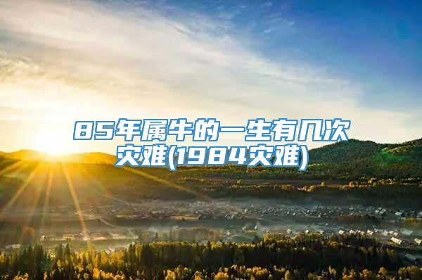 85年属牛的一生有几次灾难(1984灾难)