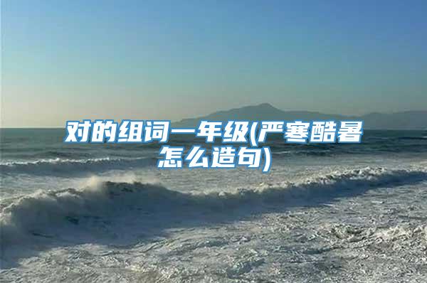对的组词一年级(严寒酷暑怎么造句)
