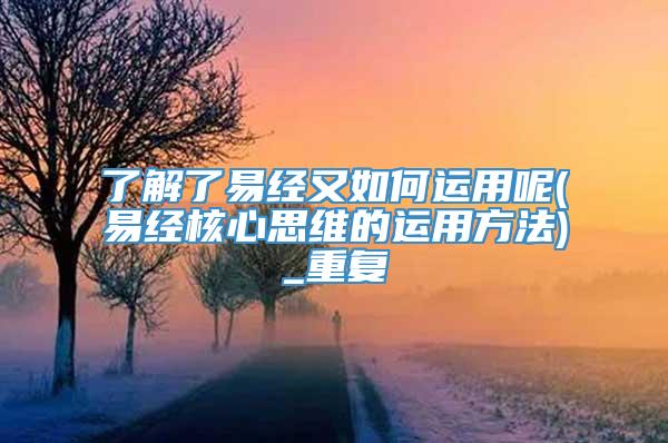 了解了易经又如何运用呢(易经核心思维的运用方法)_重复