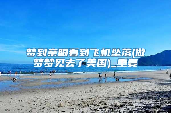 梦到亲眼看到飞机坠落(做梦梦见去了美国)_重复