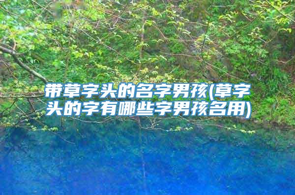 带草字头的名字男孩(草字头的字有哪些字男孩名用)