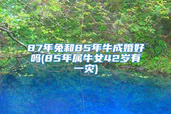 87年兔和85年牛成婚好吗(85年属牛女42岁有一灾)