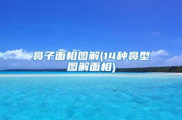 鼻子面相图解(14种鼻型图解面相)