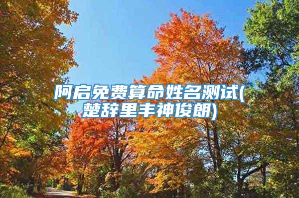 阿启免费算命姓名测试(楚辞里丰神俊朗)