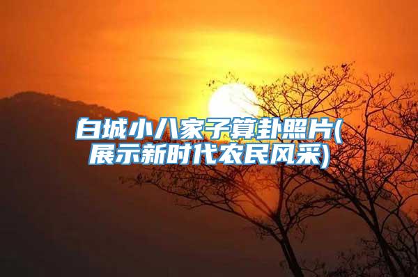 白城小八家子算卦照片(展示新时代农民风采)