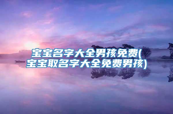 宝宝名字大全男孩免费(宝宝取名字大全免费男孩)