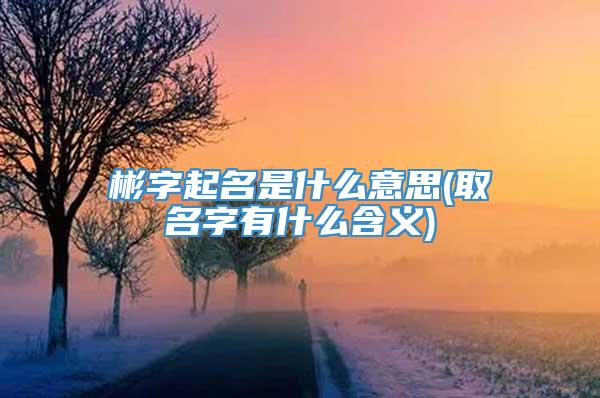 彬字起名是什么意思(取名字有什么含义)