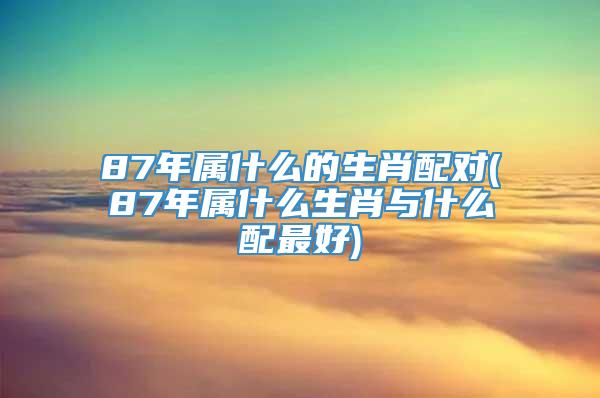 87年属什么的生肖配对(87年属什么生肖与什么配最好)