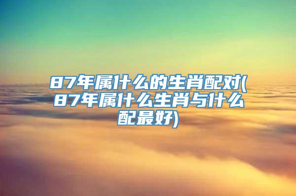 87年属什么的生肖配对(87年属什么生肖与什么配最好)