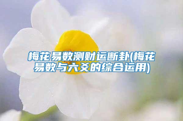 梅花易数测财运断卦(梅花易数与六爻的综合运用)