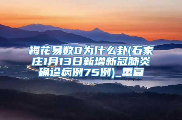 梅花易数0为什么卦(石家庄1月13日新增新冠肺炎确诊病例75例)_重复