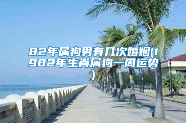 82年属狗男有几次婚姻(1982年生肖属狗一周运势)