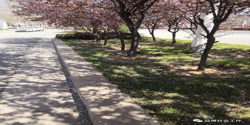 大名县红庙乡总坟算卦(一起随手而过的日子)