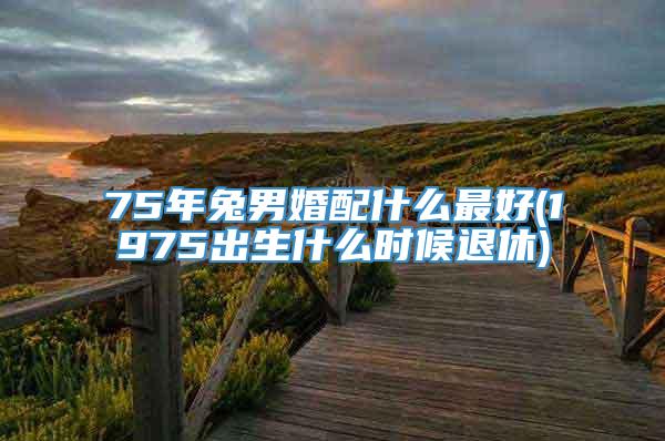 75年兔男婚配什么最好(1975出生什么时候退休)