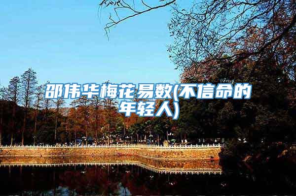 邵伟华梅花易数(不信命的年轻人)