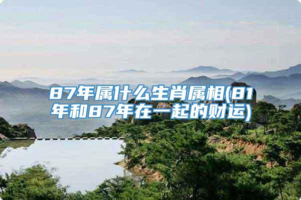 87年属什么生肖属相(81年和87年在一起的财运)