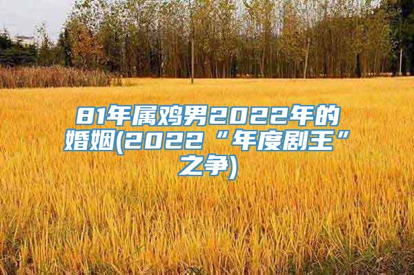 81年属鸡男2022年的婚姻(2022“年度剧王”之争)