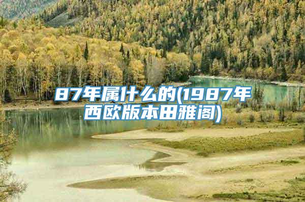 87年属什么的(1987年西欧版本田雅阁)