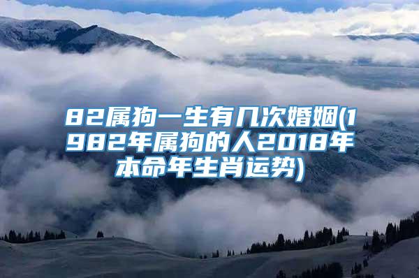 82属狗一生有几次婚姻(1982年属狗的人2018年本命年生肖运势)