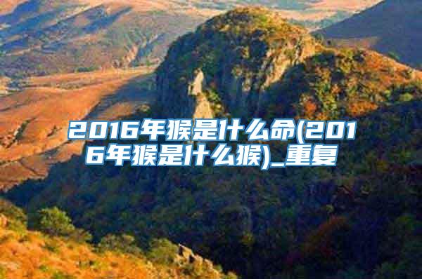 2016年猴是什么命(2016年猴是什么猴)_重复