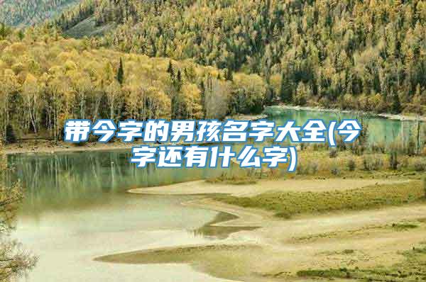 带今字的男孩名字大全(今字还有什么字)