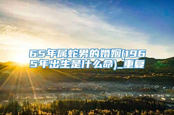 65年属蛇男的婚姻(1965年出生是什么命)_重复