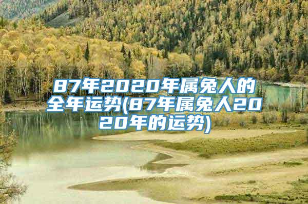 87年2020年属兔人的全年运势(87年属兔人2020年的运势)