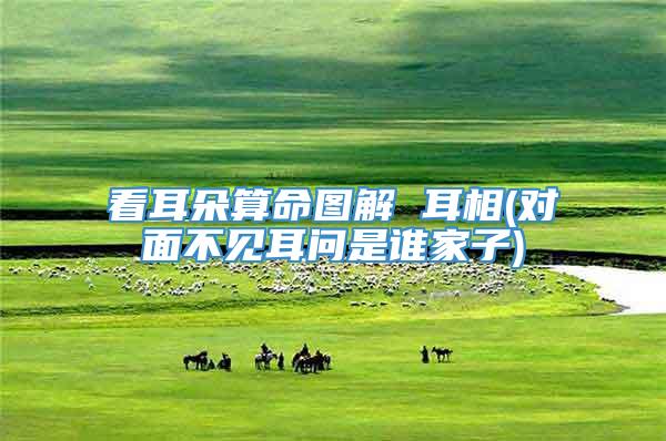 看耳朵算命图解 耳相(对面不见耳问是谁家子)