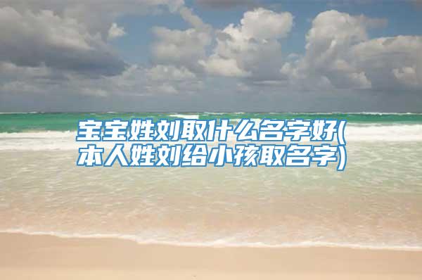 宝宝姓刘取什么名字好(本人姓刘给小孩取名字)