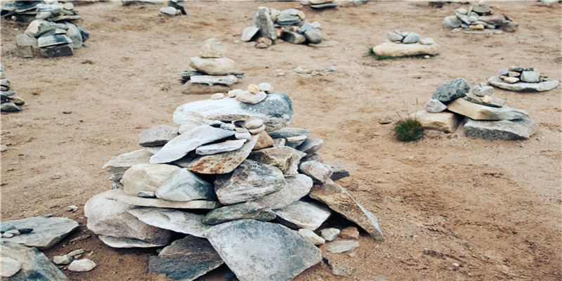 动物寿命排行榜