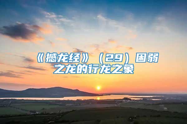 《撼龙经》（29）困弱之龙的行龙之象