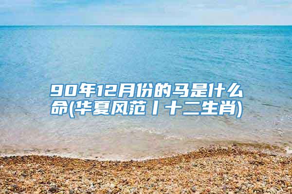 90年12月份的马是什么命(华夏风范丨十二生肖)