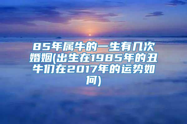 85年属牛的一生有几次婚姻(出生在1985年的丑牛们在2017年的运势如何)