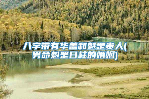 八字带有华盖和魁罡贵人(男命魁罡日柱的婚姻)