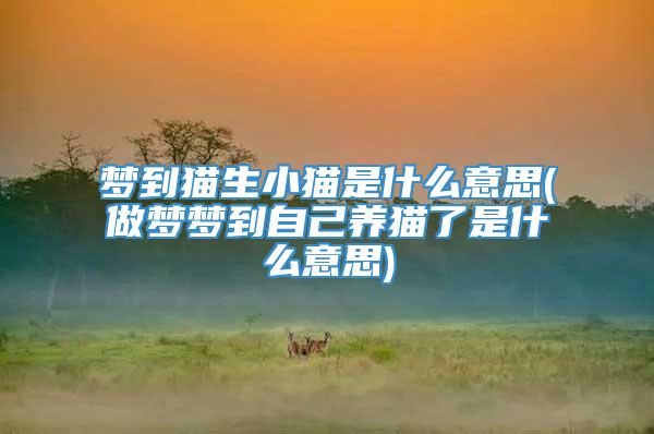梦到猫生小猫是什么意思(做梦梦到自己养猫了是什么意思)