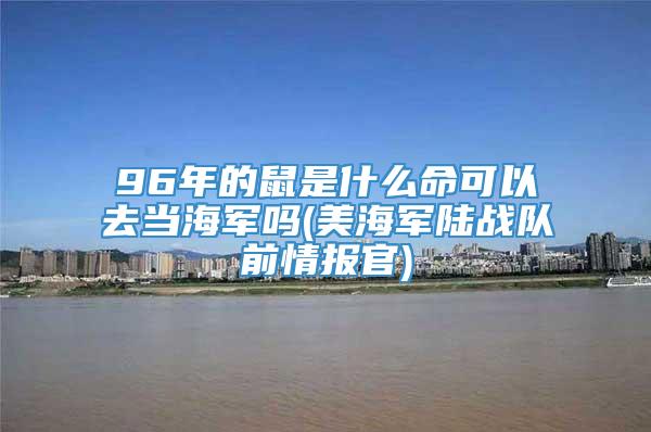 96年的鼠是什么命可以去当海军吗(美海军陆战队前情报官)